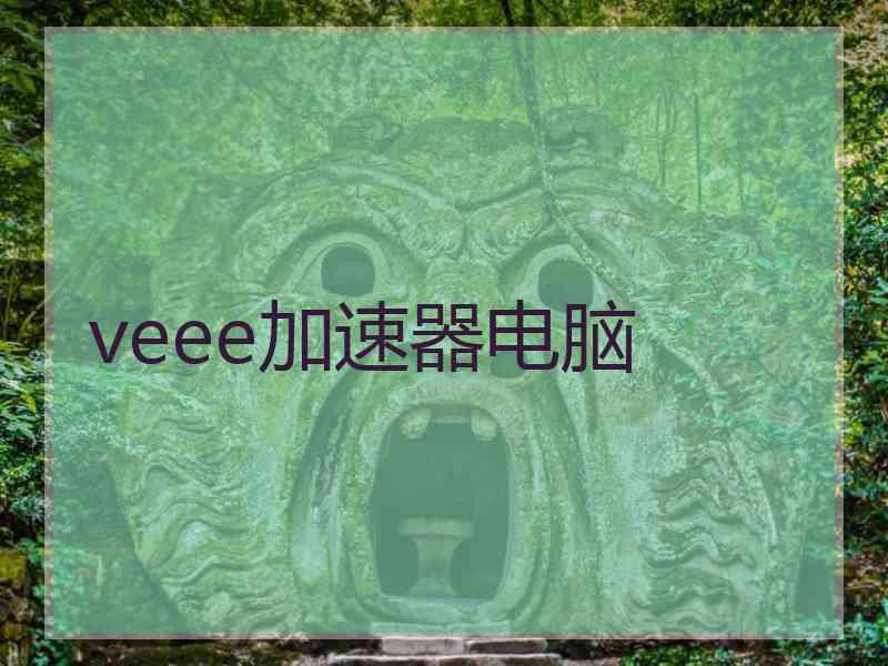 veee加速器电脑