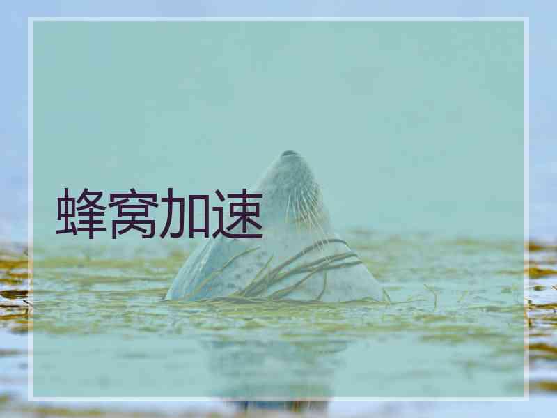 蜂窝加速