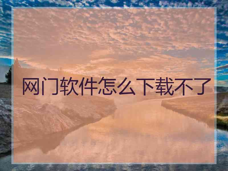网门软件怎么下载不了