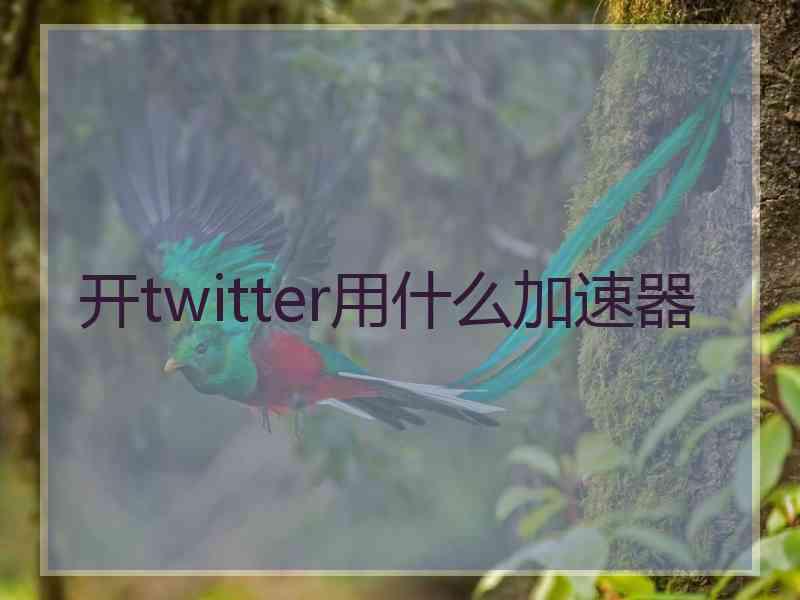 开twitter用什么加速器