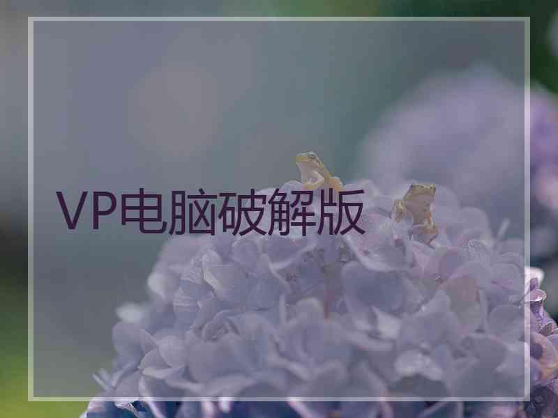 VP电脑破解版