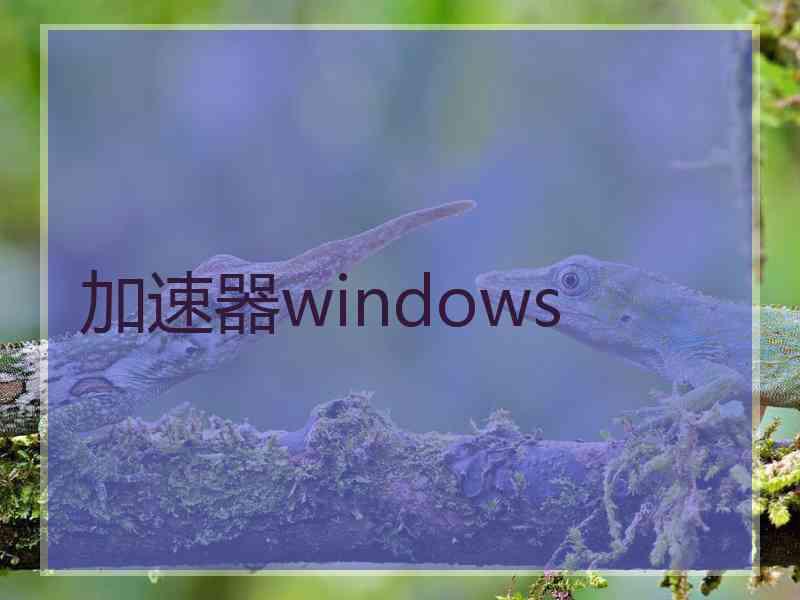 加速器windows