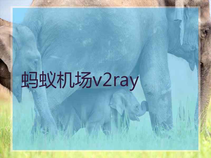 蚂蚁机场v2ray