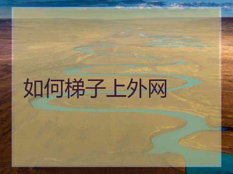 如何梯子上外网