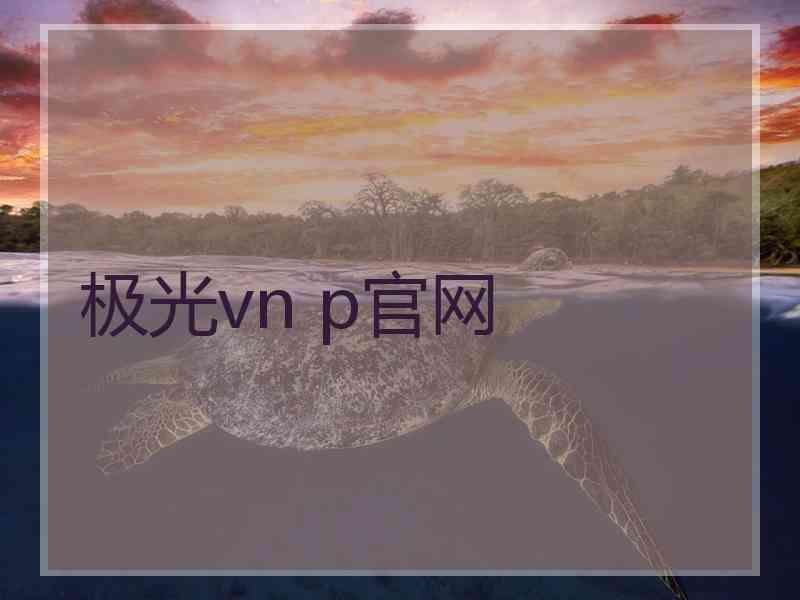 极光vn p官网