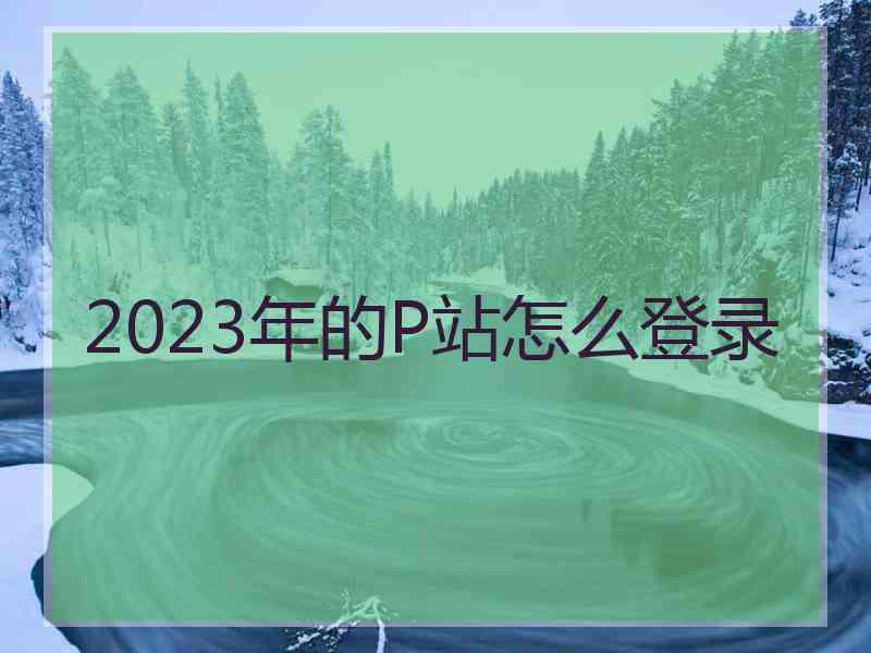 2023年的P站怎么登录