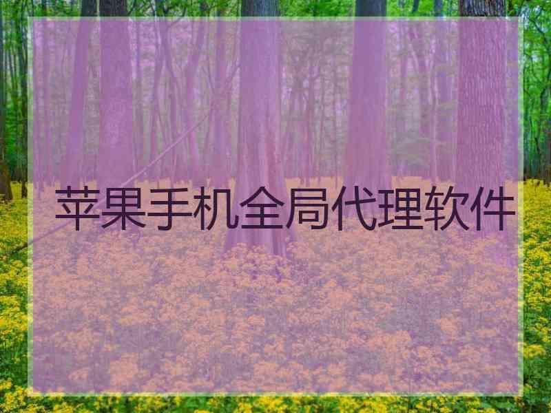 苹果手机全局代理软件