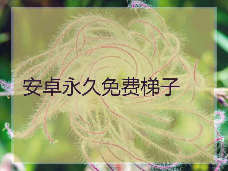安卓永久免费梯子