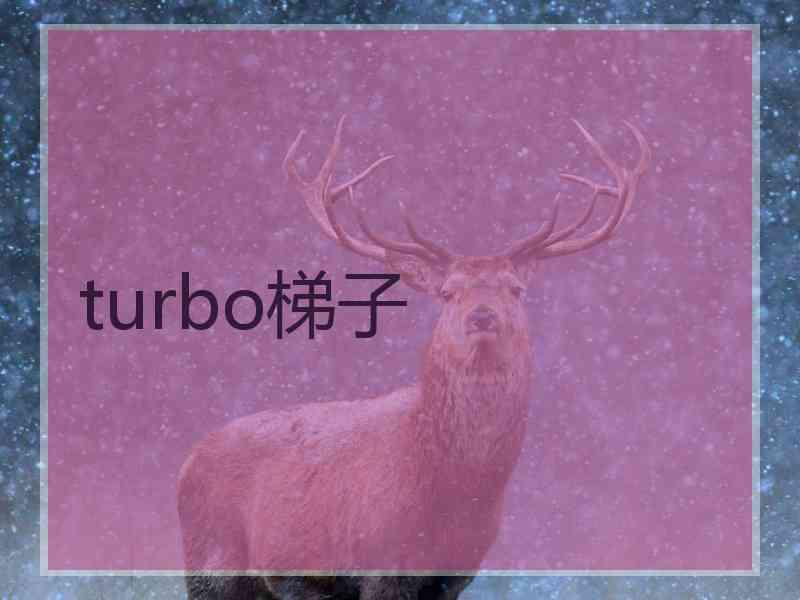 turbo梯子