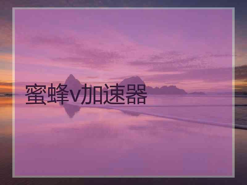 蜜蜂v加速器