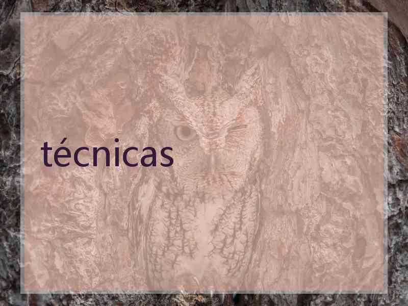 técnicas