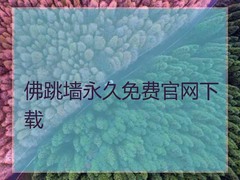 佛跳墙永久免费官网下载