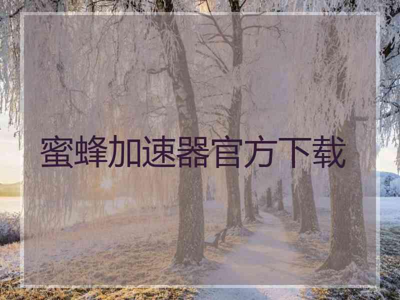 蜜蜂加速器官方下载
