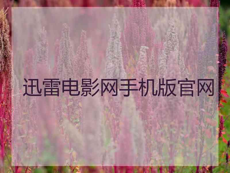 迅雷电影网手机版官网