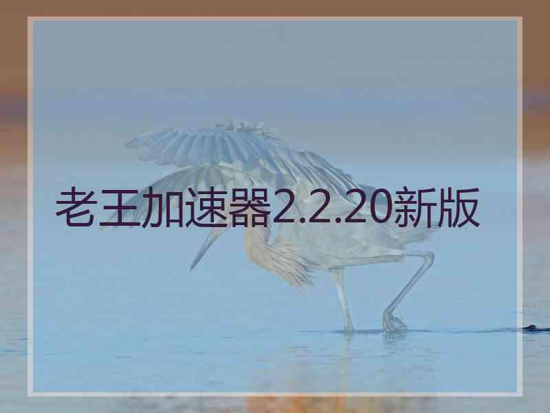 老王加速器2.2.20新版