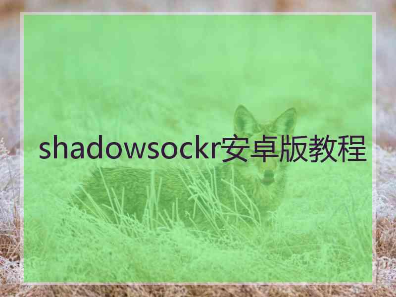 shadowsockr安卓版教程