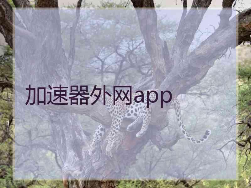 加速器外网app