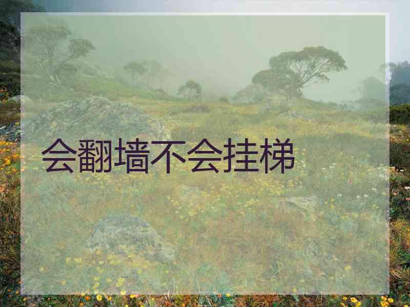 会翻墙不会挂梯