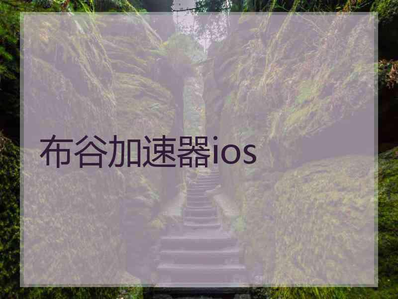 布谷加速器ios