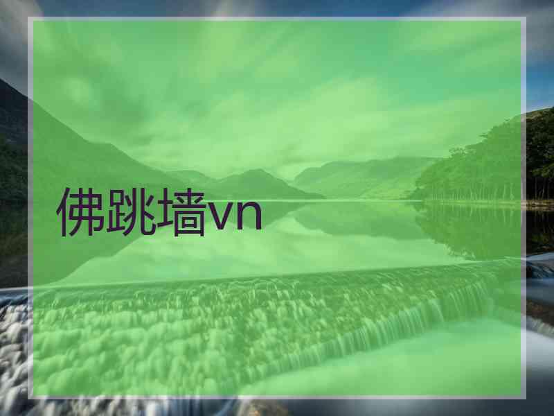 佛跳墙vn