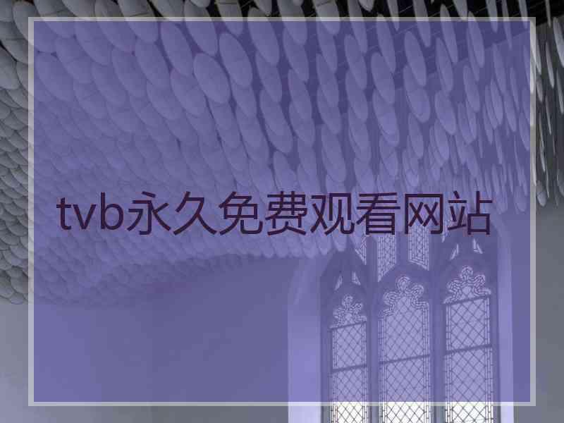 tvb永久免费观看网站