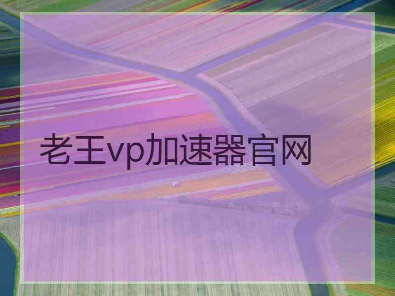 老王vp加速器官网