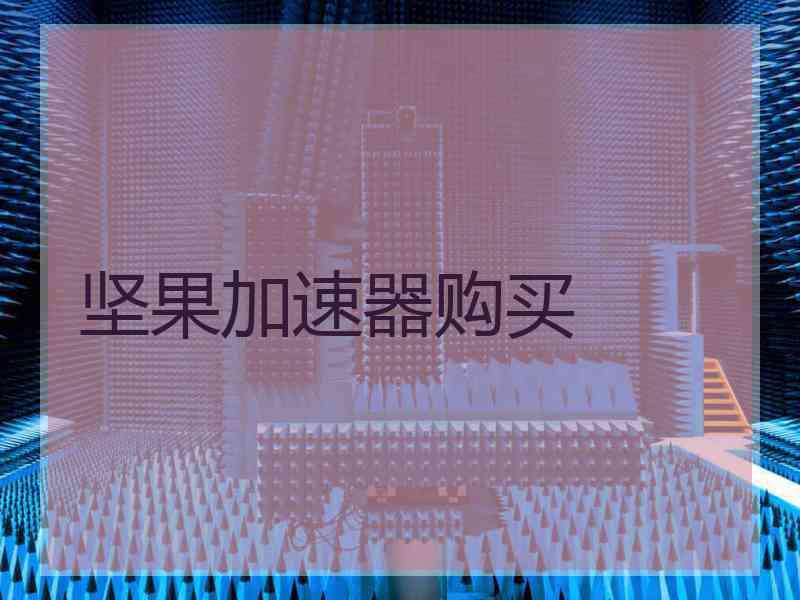 坚果加速器购买