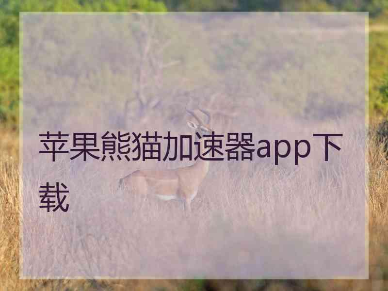 苹果熊猫加速器app下载