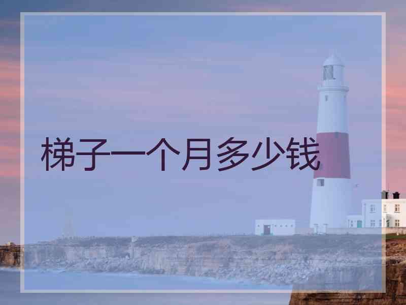 梯子一个月多少钱