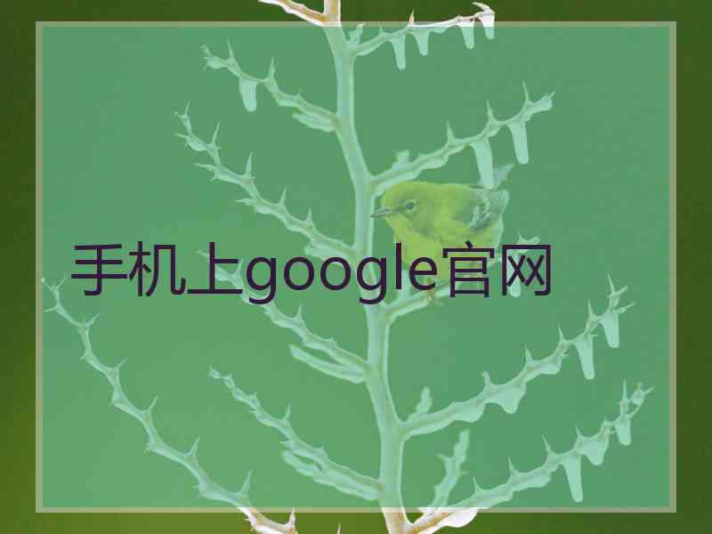 手机上google官网