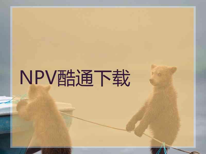 NPV酷通下载