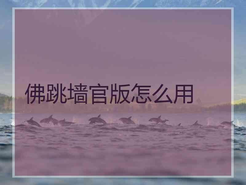 佛跳墙官版怎么用