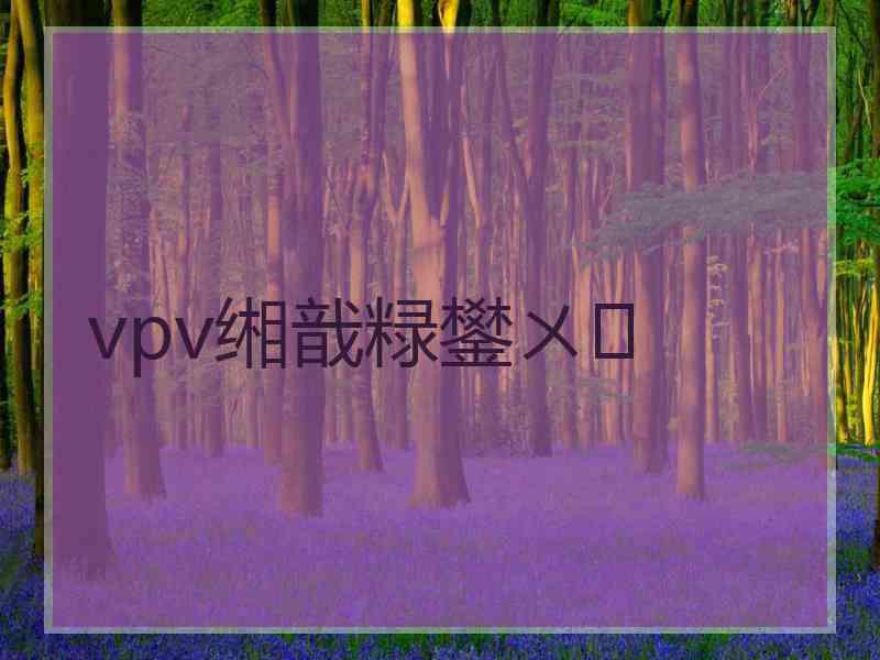 vpv缃戠粶鐢ㄨ
