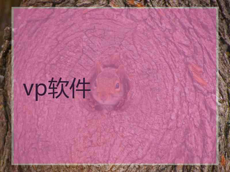 vp软件