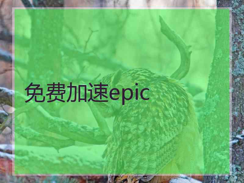 免费加速epic