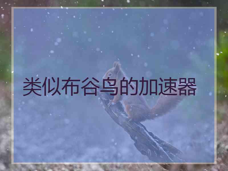 类似布谷鸟的加速器