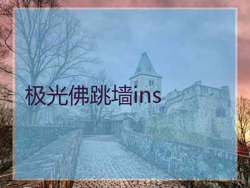 极光佛跳墙ins