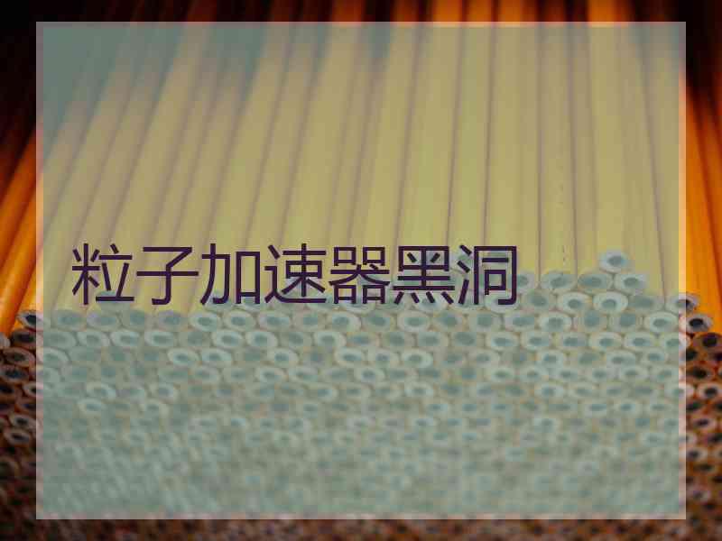 粒子加速器黑洞