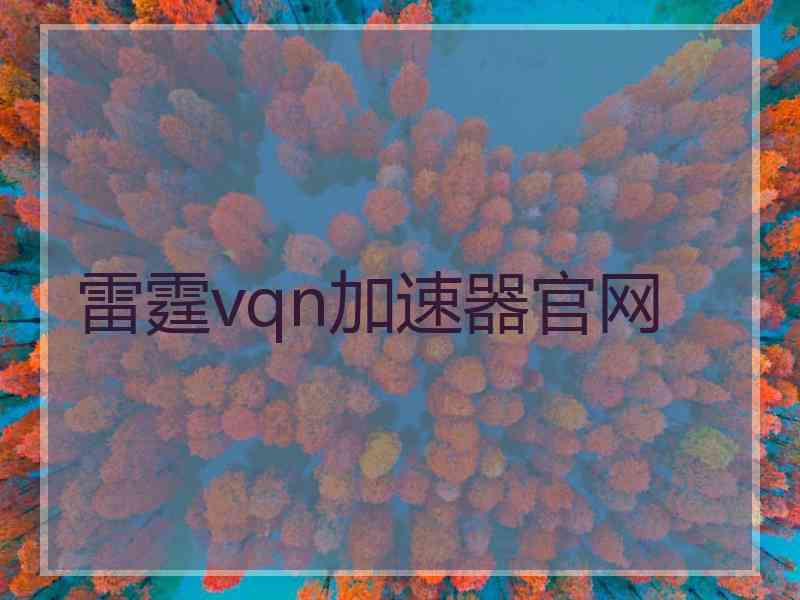 雷霆vqn加速器官网