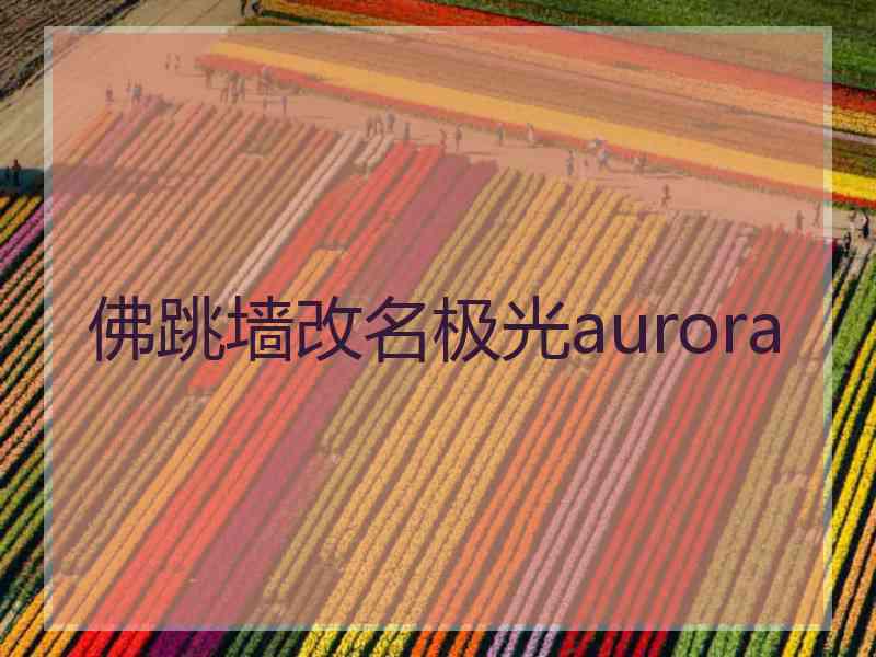 佛跳墙改名极光aurora