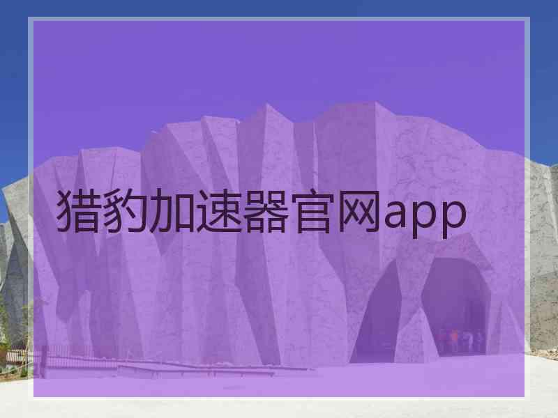 猎豹加速器官网app