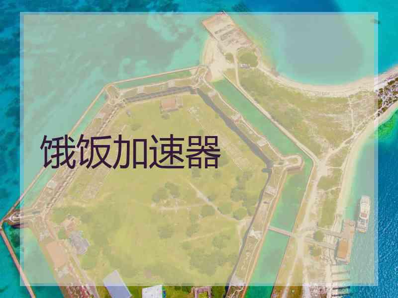 饿饭加速器