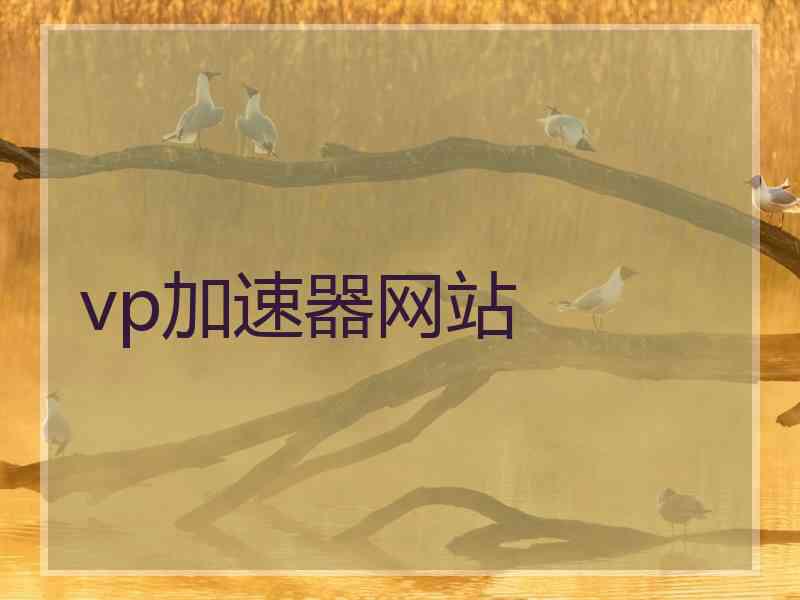 vp加速器网站