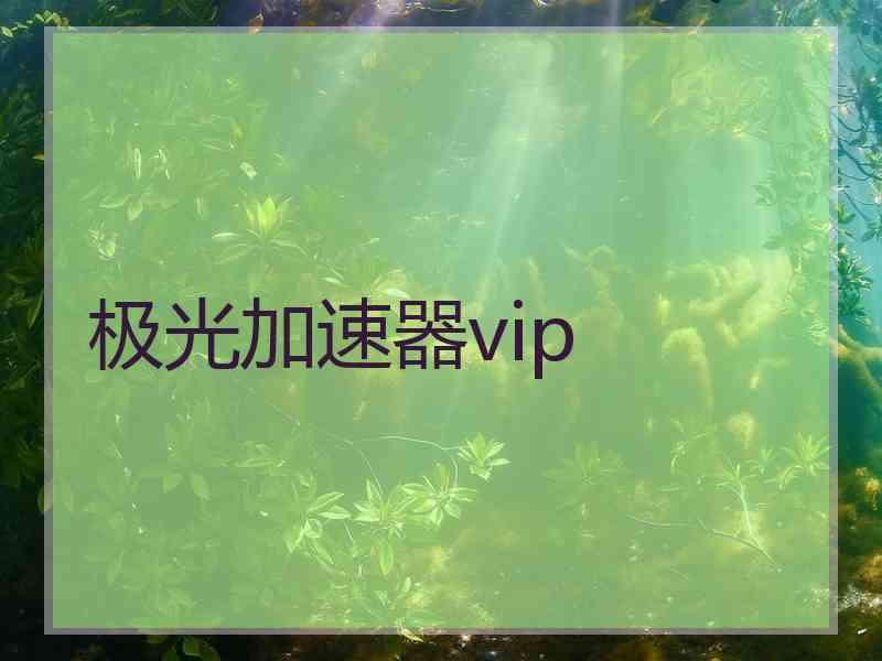 极光加速器vip