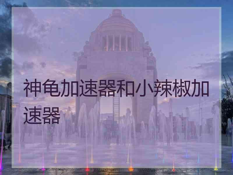 神龟加速器和小辣椒加速器