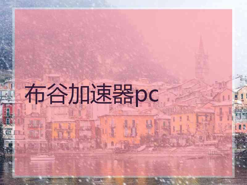 布谷加速器pc