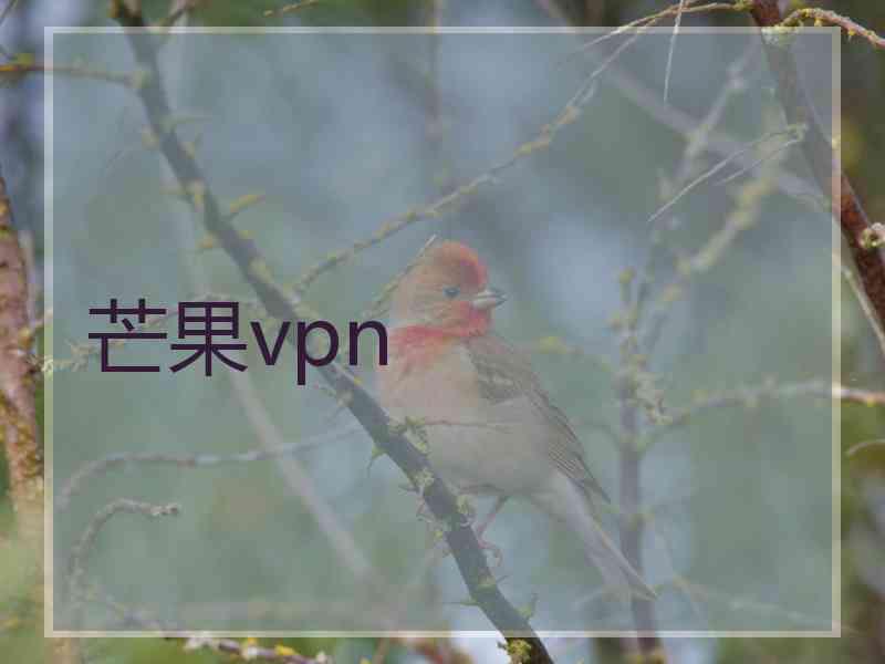 芒果vpn