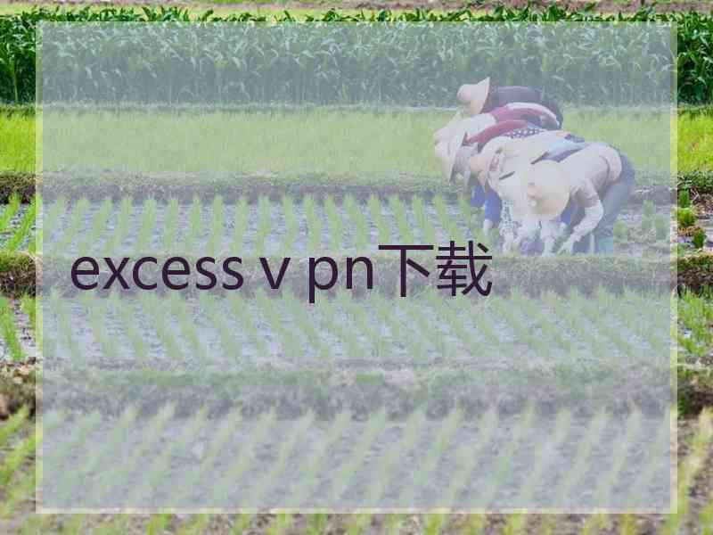 excessⅴpn下载