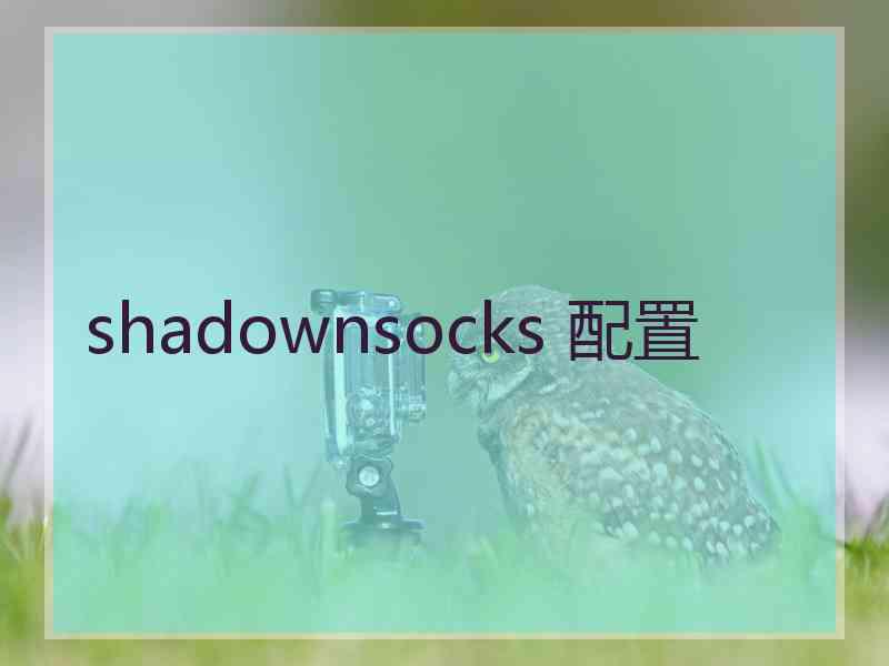 shadownsocks 配置