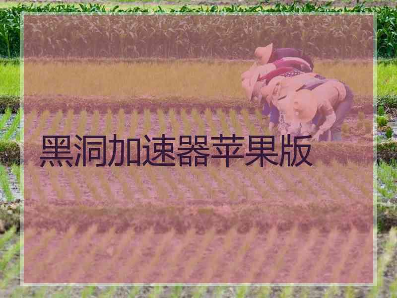 黑洞加速器苹果版